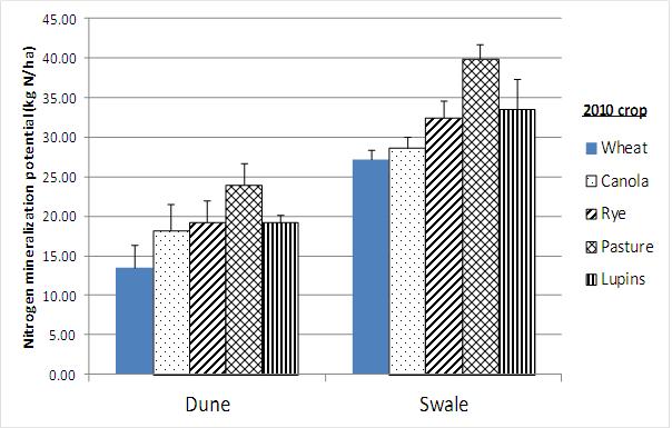 Figure 5. Effect of 2010 break crops on N mineralisation potential measured at time of sowing