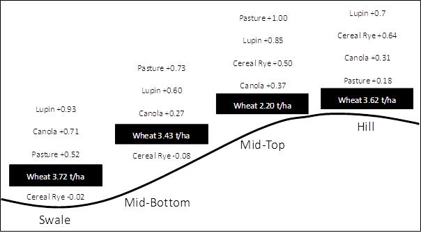 Figure 1. Yield gain in the 2011 wheat crops that followed various break crops grown in 2010 at Karoonda. Continuous wheat yields 2011 are shown in the black boxes.  (LSD (p<0.05): Swale = 0.42 t/ha; Mid-Bottom = 0.41 t/ha; Mid-Top = 0.49 t/ha; Hill 0.53 t/ha).