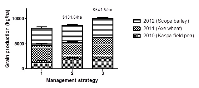 Figure 2. Effect of long-term weed management strategies on total grain production (kg/ha) at Roseworthy from 2010 to 2012. 