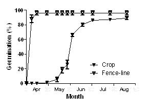 Figure 1. Germination of in crop or fence-line populations of brome grass from a field at Warnertown, SA.