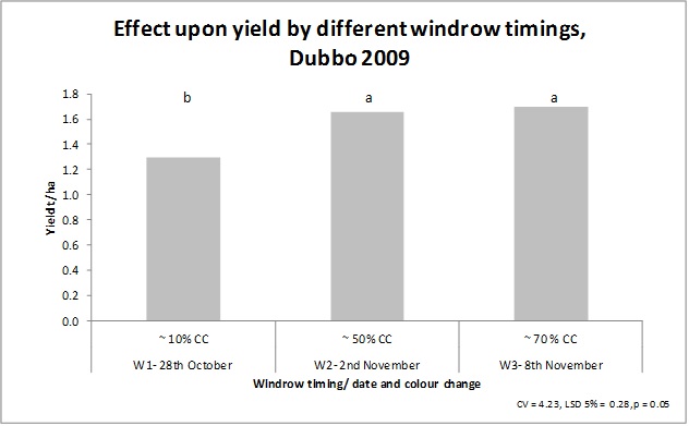Figure 2. Canola yield for the three windrow treatment timings at Dubbo.