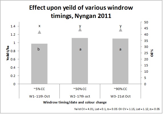 Figure 4. Canola yield for the three windrow treatment timings at Nyngan 2011