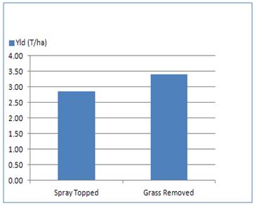 Figure 2. Spray topped versus grass removal, GG2 trial, Blackets 2011.