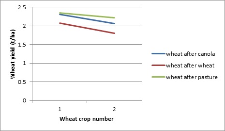 Figure 1. Wheat yield for wheat crops grown after wheat, a canola break crop or a pasture managed to reduce weeds and maximise nitrogen inputs.  
