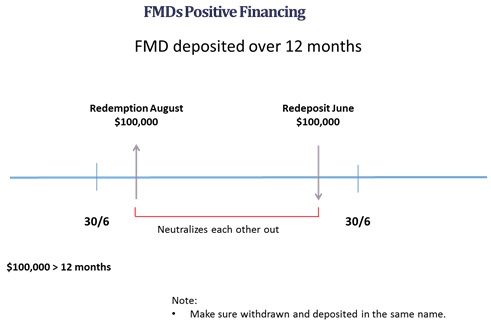 Figure 8. FMDs Positive Financing