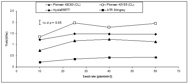 Seed rates measured were from 10 to 60 plants per metres squared. The yield rates (in tonnes/hectare) for Pioneer 43C80 (CL) range from approximately 1.3 to 1.4, Pioneer 43Y85 (CL) ranges from approximately 1.4 to 2.0 to 1.9, Hyola555TT ranges from approximately 0.6 to 1.0, and ATR Stingray ranges from approximately 0.2 to 0.4.