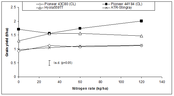 Nitrogen rates in kilograms per hectares ranged from 0 to 120. The grain yield rates (in tonnes/hectare) for Pioneer 43C80 (CL) range from approximately 0.8 to 1.2, Pioneer 44Y84 (CL) ranges from approximately 1.7 to 2.0 to 2.1, Hyola 559TT ranges from approximately 1.3 to 1.5 to 1.4, and ATR Stingray ranges from approximately 1.0 to 1.1.