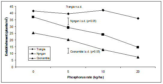 Phosphorus rates in kilograms per hectares ranged from 0 to 20. The establishment rates of plants per metres square were; Trangie  (n.s.d.) approximately 43 to 36, Nyngan (l.s.d. p=0.05) approximately 38 to 15, Coonamble (l.s.d. p=0.05) approximately 25 to 7.