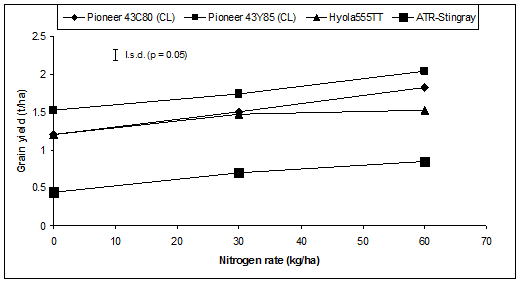Nitrogen rates in kilograms per hectares ranged from 0 to 60. The grain yield rates (in tonnes/hectare) for Pioneer 43C80 (CL) range from approximately 1.2 to 1.8, Pioneer 43Y85 (CL) ranges from approximately 1.5 to 2.0, Hyola 555 TT ranges from approximately 1.2 to 1.5, and ATR Stingray ranges from approximately 1.5 to 0.8.