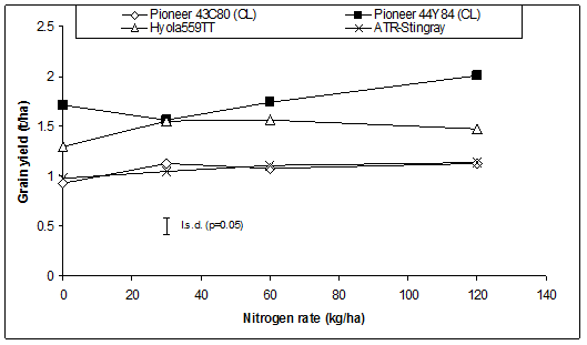 Nitrogen rates in kilograms per hectares ranged from 0 to 120. The grain yield rates (in tonnes/hectare) for Pioneer 43C80 (CL) range from approximately 0.9 to 1.1, Pioneer 44Y84 (CL) ranges from approximately 1.5 to 2.0, Hyola 559TT ranges from approximately 1.25 to 1.5, and ATR Stingray ranges from approximately 1.0 to 1.1.