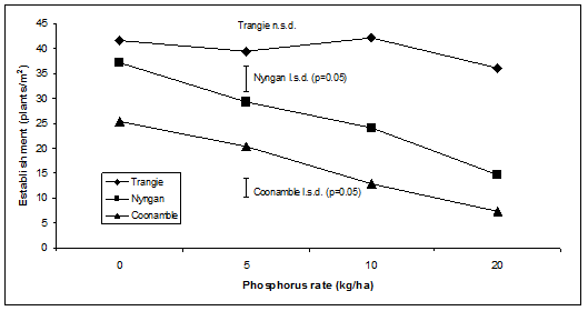 For phosphorus rates ranging from 0 to 20 per kg/hectare; Coonamble ranged from approximately 25 to 8 plants per metre squared, Nyngan ranged from approximately 37 to 15 plants per metre squared, and Trangie ranged from approximately 42 to 35 plants per metre squared.