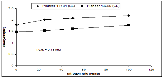For nitrogen rates ranging from 0 to 100 per kg/hectare; Variety Pioneer 44Y84 (CL) yields ranged from approximately 1.8 to 2.3 t/ha, and variety Pioneer 43C80(CL)  yields ranged from approximately 1.5 to 1.7 t/ha.