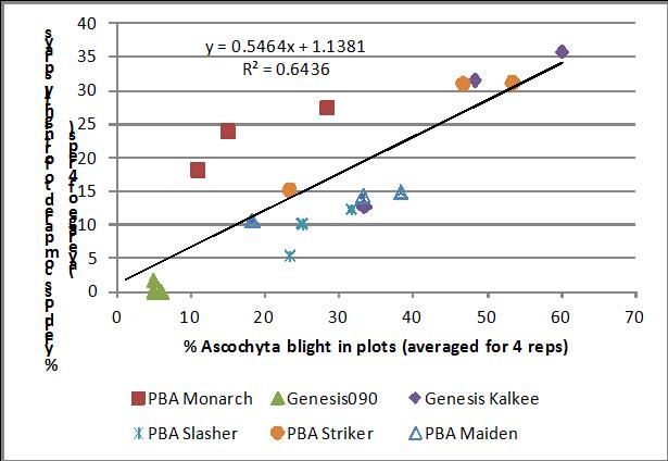 Figure 3. Relationship between % yield loss (compared to fortnightly sprays) and ascochyta blight severity in fungicide trial at Kingsford, 2013.
