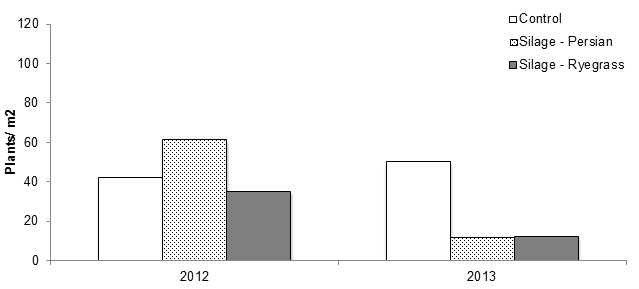 Figure 2. The emergence of wild radish seedlings (plants/m2) in the early winter in 2012, and then in 2013 following a Persian clover or ryegrass silage crop in 2012. Vertical bars represent LSD (p = 0.05)