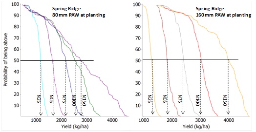 Both Spring Ridge sites with a 80mm and 160mm PAW at planting show an increase in yield as the nitrogen application increases from N25 to N150. Text description follows.