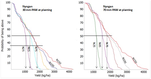 Both Nyngan sites with a 30mm and 70mm PAW at planting show an increase in yield as the nitrogen application increases from N25 to N150. Text description follows.