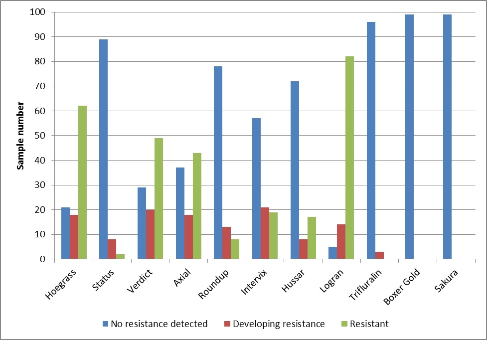 Figure 1. Herbicide resistance test results in ryegrass averaged across each herbicide.