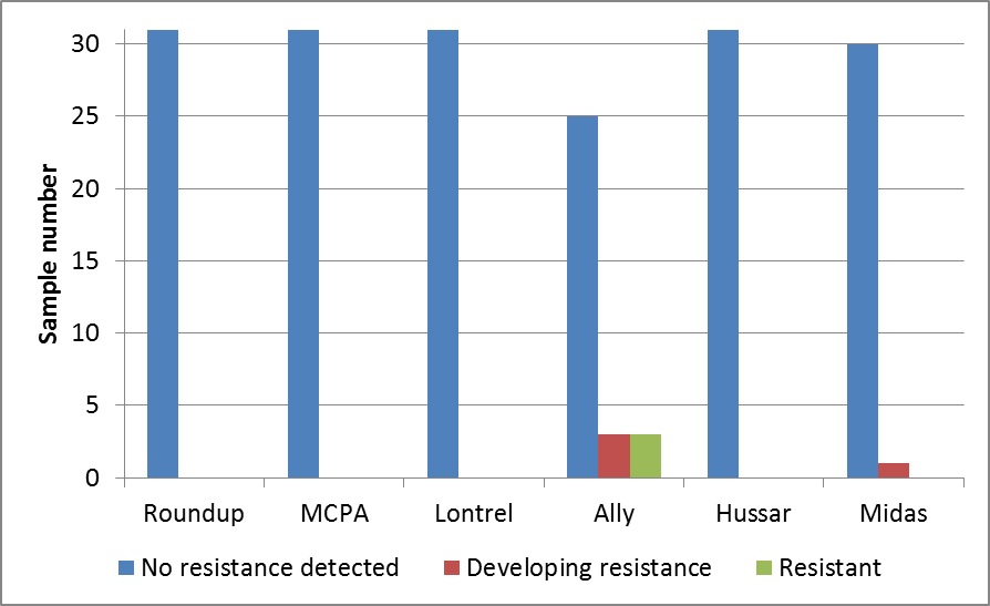 Figure 2. Herbicide resistance test results in sow thistle averaged across each herbicide.