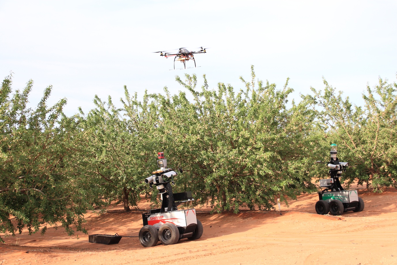 two ground robots and one aerial robot for crop surveillance in tree-crop applications (right).