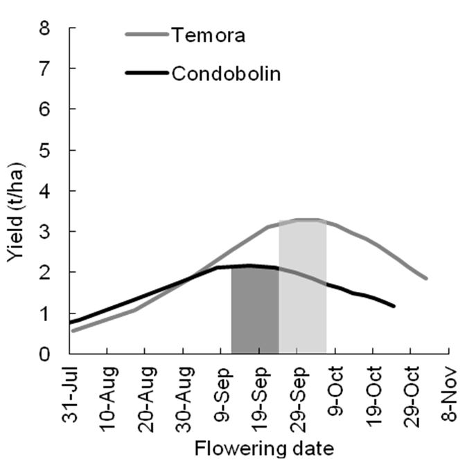 Results of the relationship between flowering time and yield (tonnes/hectare) at Temora and Condobolin. Text description follows image.