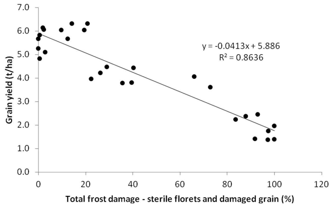 Results of the relationship between total frost damage - sterile florets and damaged grain (%) and grain yield (tonnes/hectare) in hand havests. A downward trend is found. Text description follows image.