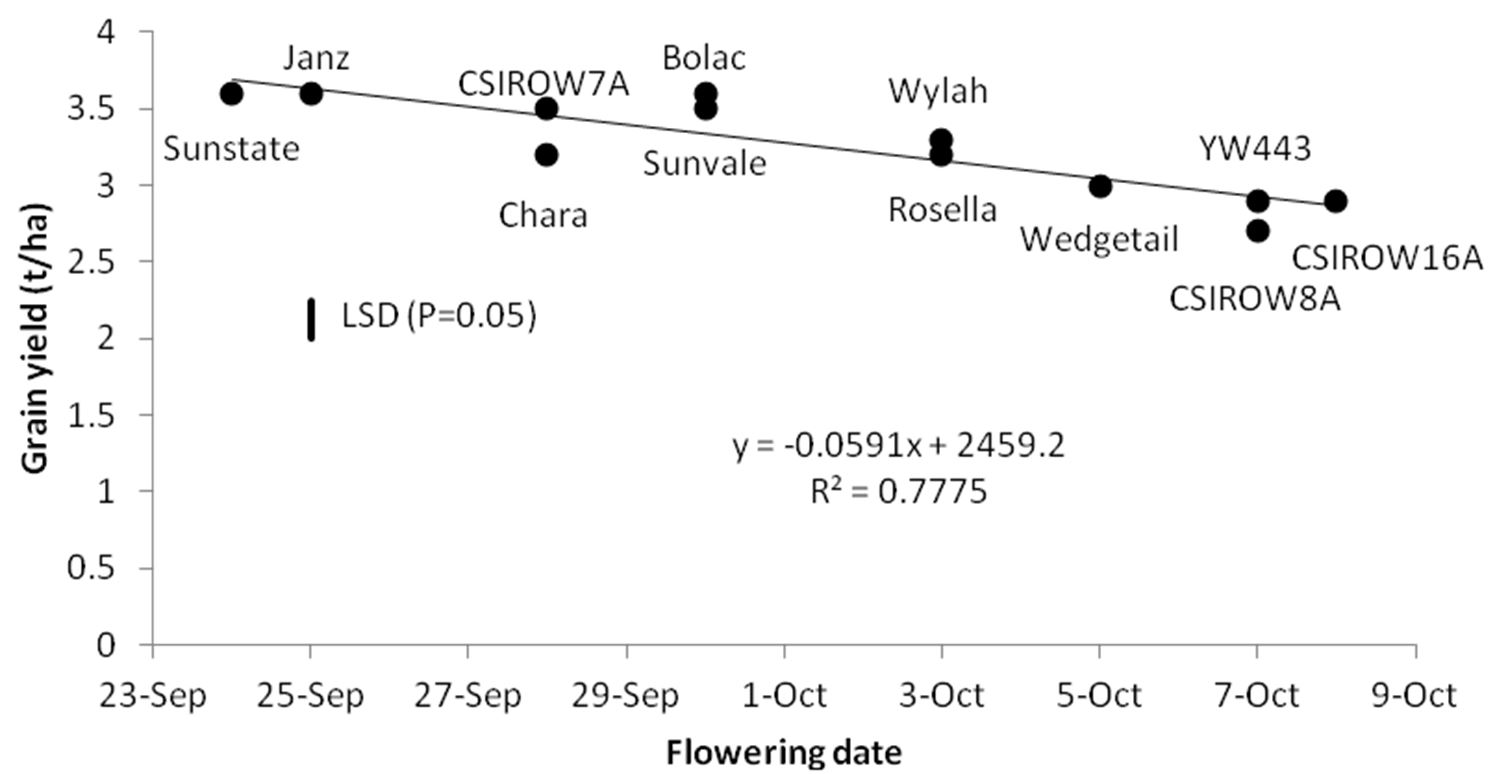 Results of the relationship between the flowering date and the grain yield (tonnes/hectare) at Temora in 2013. There was a general downward trend found. Text description follows image.