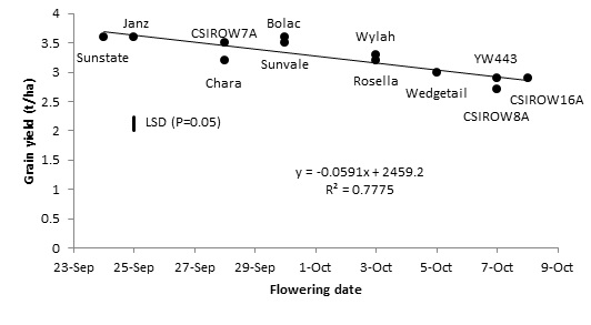 Relationship between flowering time and yield at Temora
