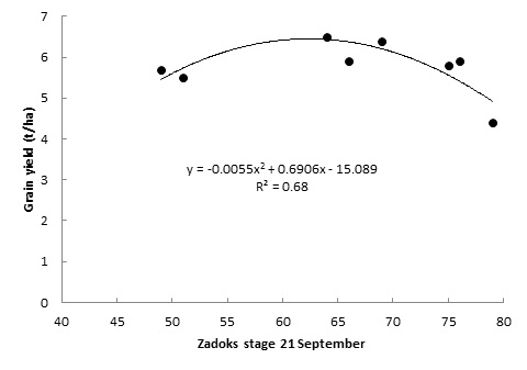 The relationship between Zadoks stage assessed in September and grain yield