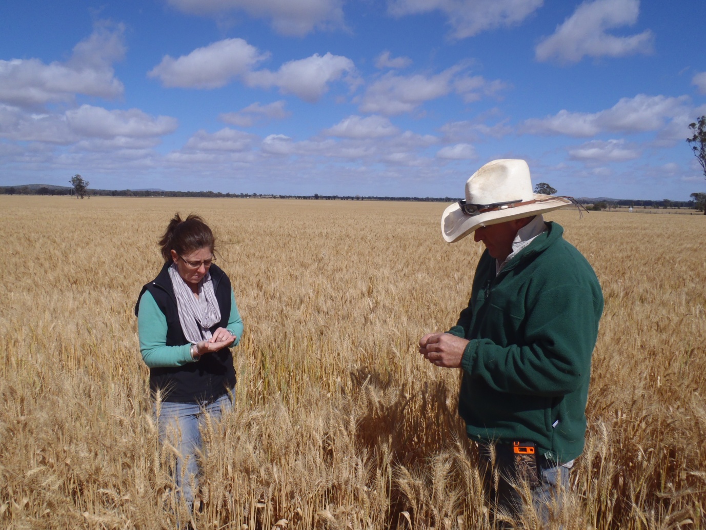 Lou and Charlie Clemson inspecting one of their early sown Bolac paddocks