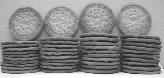 Four piles each of 10 Marie biscuits, with an 11th perched vertically on top of each pile. Pile 1 is the shortest, then Pile 2, with Piles 3 & 4 the tallest and approximately the same height.