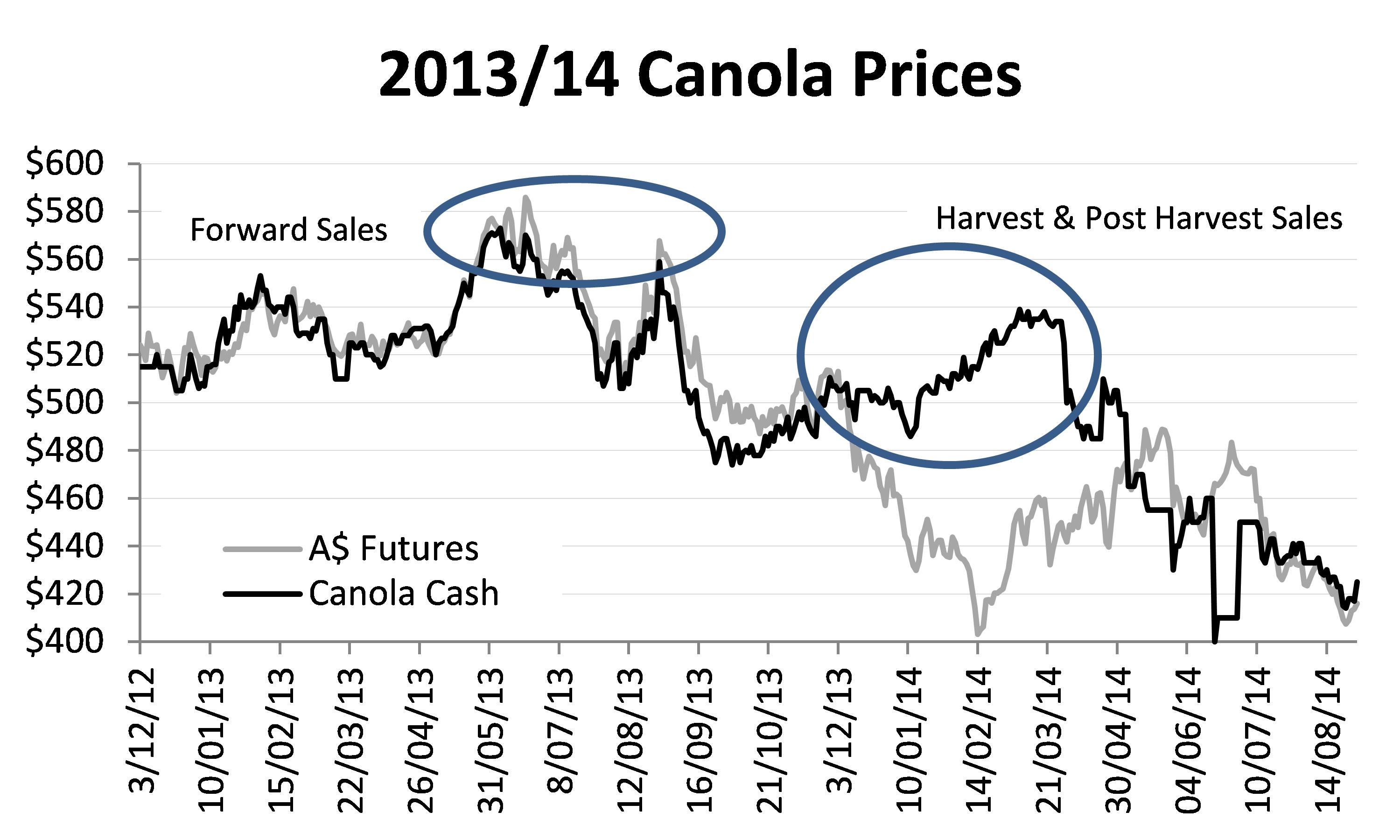 Figure 4. 2013/14 canola prices.