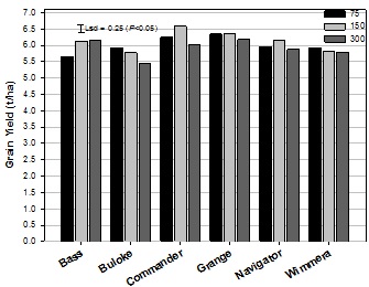 Results of the grain yield (tonnes per hectare) of six barley varieties grown at populations of 75, 150 and 300 plants per metre squared. Text description follows image.