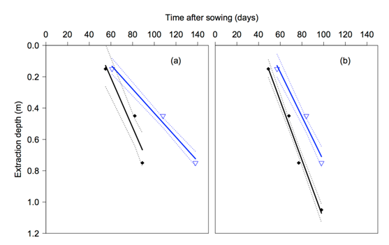 Figure 4 (a) 2011 and (b) 2012 shows extraction depth over days after sowing. Text description follows.