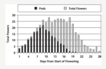 Results of the amount of pods and total flowers produced from the days from start of flowering. Text description follows image.