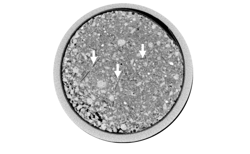X-ray CT image of wheat roots proliferating in band of phosphorus enriched soil.