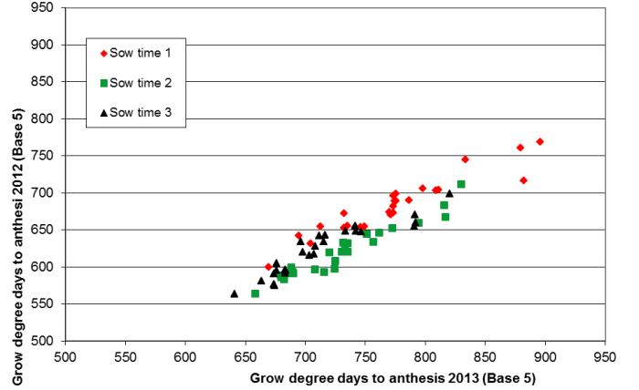 Relationship between the grow degree days to anthesi in 2012 and the grow degree days to anthesis in 2013 showing three different sowing times in Wagga Wagga. Text description follows image.