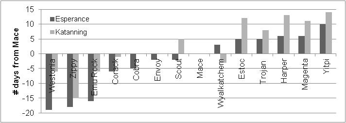 Figure 2 Days of flowering from Mace of varieties sown in DAFWA’s phenology trials which were sown on 26th April at Katanning and Esperance in 2013. (Mace flowering date – 28th and 17th August at Katanning and Esperance respectively) (Source Shackley and Young, 2014).
