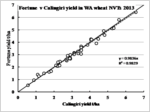 Figure 7. Yield of Fortune relative to Calingiri in 2013(solid line is the 1:1 line).