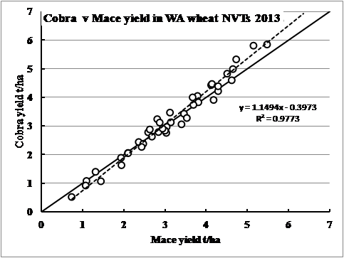 Figure 5. Yield of Cobra relative to Mace in 2013(solid line is the 1:1 line).