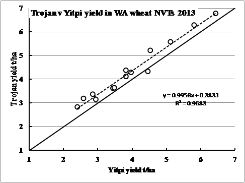 Figure 6. Yield of Trojan relative to Yitpi in 2013(solid line is the 1:1 line).
