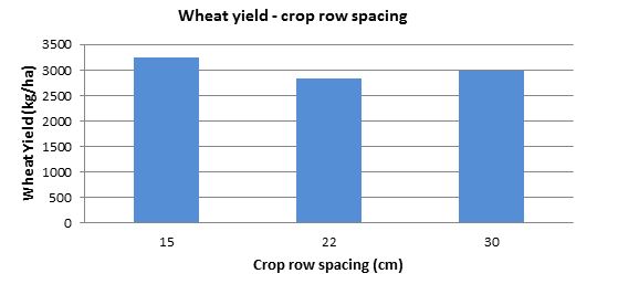 Figure 1 Wheat yield (kg/ha) compared between three crop row spacings (15, 22 and 30 cm) averaged across three seeding systems.