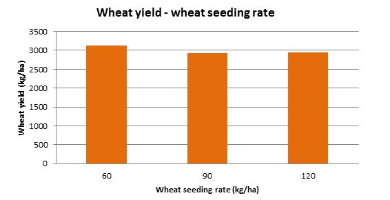 Figure 2 Wheat yield (kg/ha) at various seeding rates (averaged across all seeding systems)