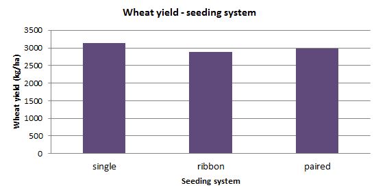 Figure 3 Wheat yield (kg/ha) compared between three seeding systems; single row sowing, ribbon sowing & paired row sowing (averaged across all seeding rates and row spacing)