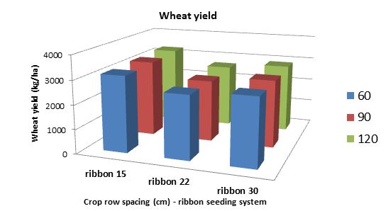 Figure 6 Wheat yield (kg/ha) of ribbon seeding system at three crop row spacings across three seeding rates of 60, 90 & 120 kg/ha.