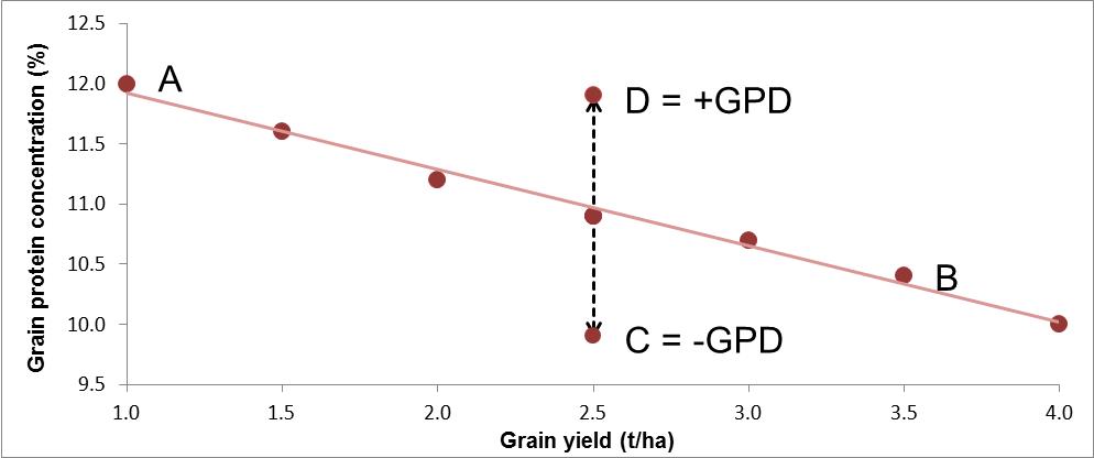 Figure 1 Example relationship between grain yield and grain protein concentration (A to B), with two cultivars having a negative (C) or a positive (D) grain protein deviation.  