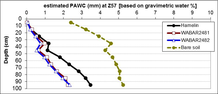 Figure 1 Estimated plant available water (PAWC, mm) during flowering (Z57) for Hamelin, two Hamelin BC4s carrying the Alt1 gene and bare soil at Wongan Hills, 2010 (source: Paynter and Hills 2012). 