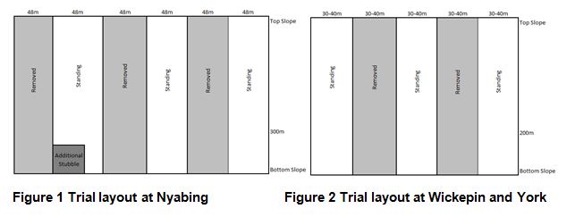 Figure 1 Trial layout at Nyabing, Figure 2 Trial layout at Wickepin and York
