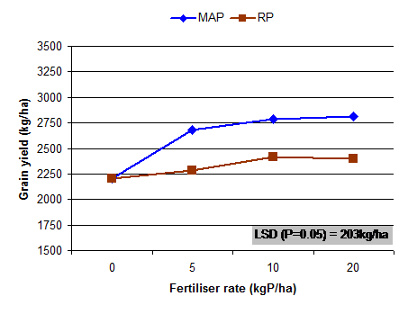 Figure 2. Averaged grain yield response over 3 year period comparing MAP to rock phosphate with biological inoculants