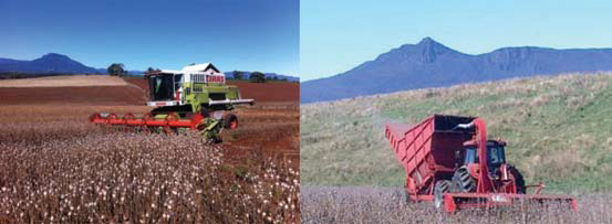  Figure 10. Harvester types used routinely in Tasmania.