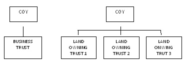 Figure 3. Example of business ownership structure.